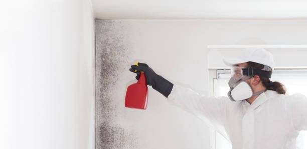 Best Water Damage Restoration  in Saks, AL