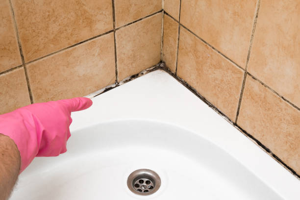 Best Emergency Mold Removal  in Saks, AL